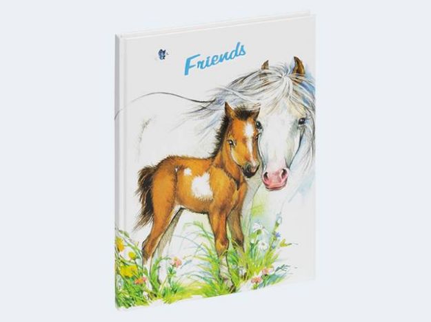 Bild von Freundebuch süßes Fohlen 145x220 60 Seiten - 20356-15