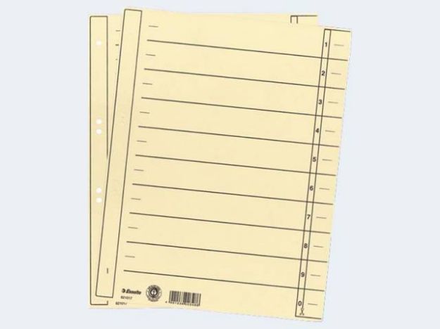 Bild von Trennblatt Esselte A4 chamoise - 621017