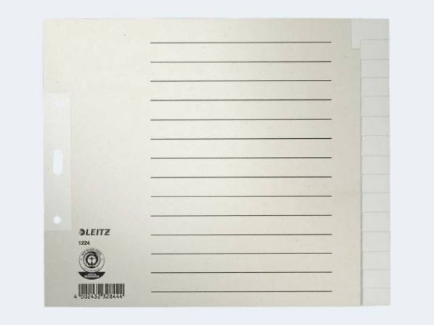 Bild von Blancoregister A4 1224 15-tlg Tauen - 12240085