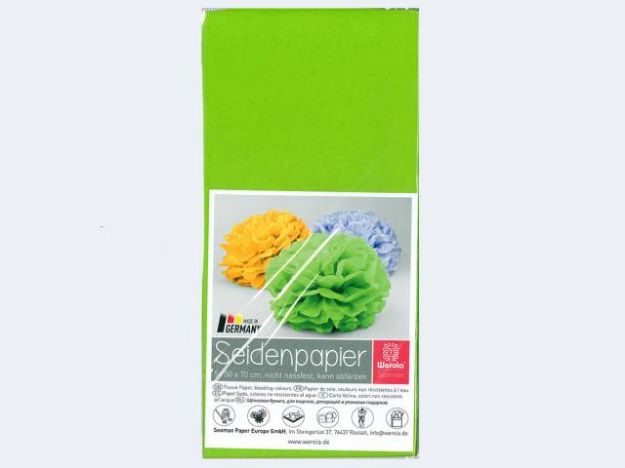 Bild von Blumenseide 5 Bögen 50x70cm hellgrün - 1050/13