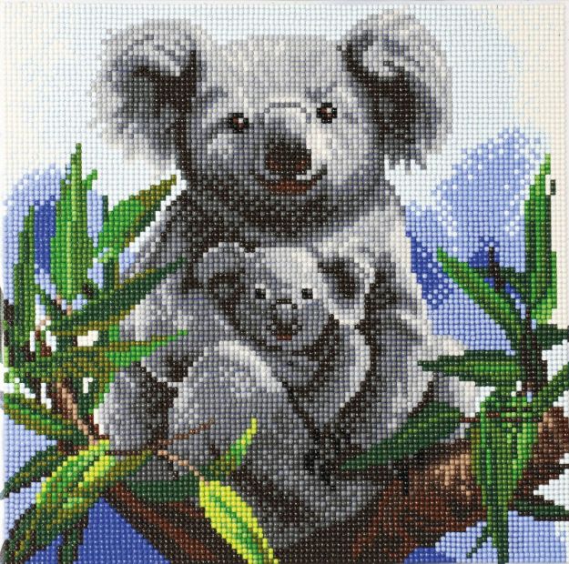 Bild von Crystal Koalas 30x30cm auf Holz - CAK-A87