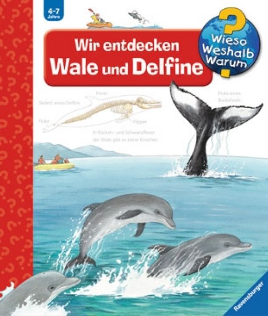 Bild von Ravensburger 32775 Wieso? Weshalb? Warum? 41: Wir entdecken Wale und Delfine