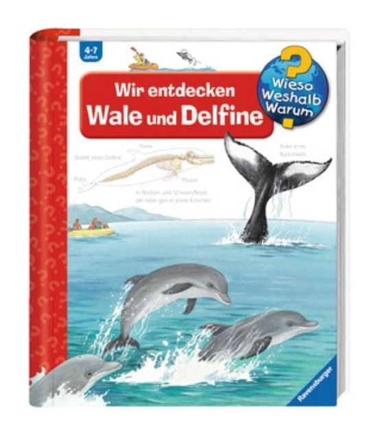 Bild von Ravensburger 32775 Wieso? Weshalb? Warum? 41: Wir entdecken Wale und Delfine