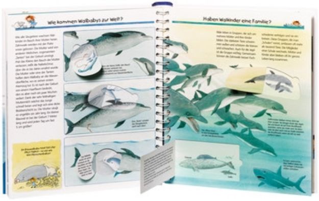 Bild von Ravensburger 32775 Wieso? Weshalb? Warum? 41: Wir entdecken Wale und Delfine