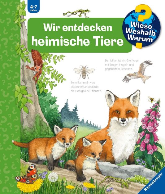 Bild von Ravensburger 32948 Wieso?Weshalb?Warum? 71 Wir entdecken heimische Tiere