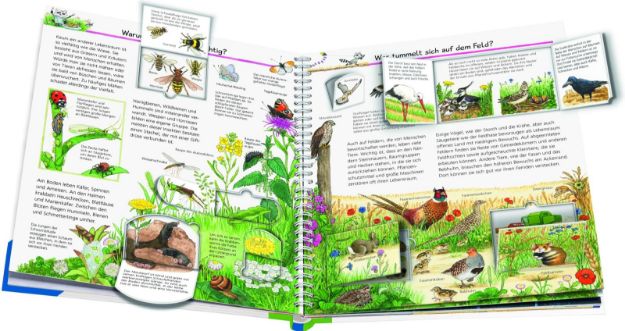 Bild von Ravensburger 32948 Wieso?Weshalb?Warum? 71 Wir entdecken heimische Tiere