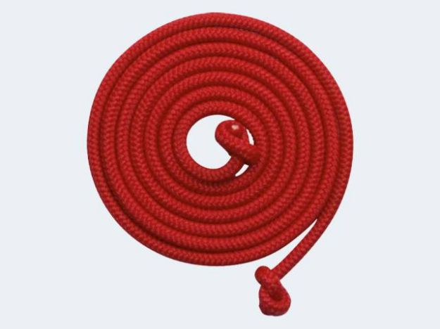 Bild von Schwingseil rot 5 Meter - 63919