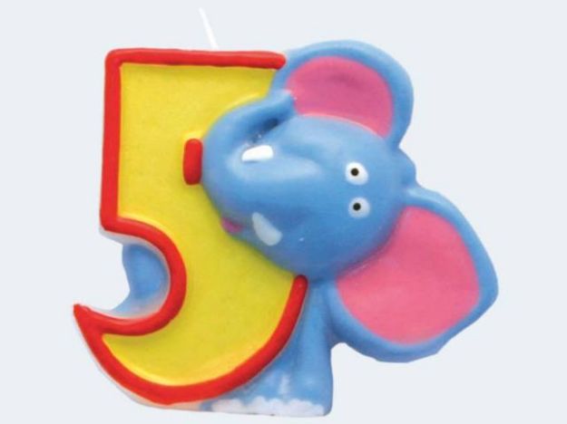 Bild von Zahlenkerze 5 Safari - 551795