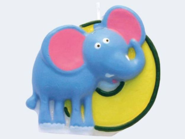 Bild von Zahlenkerze 0 Safari - 551800