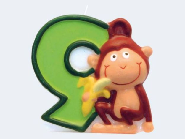 Bild von Zahlenkerze 9 Safari - 551799