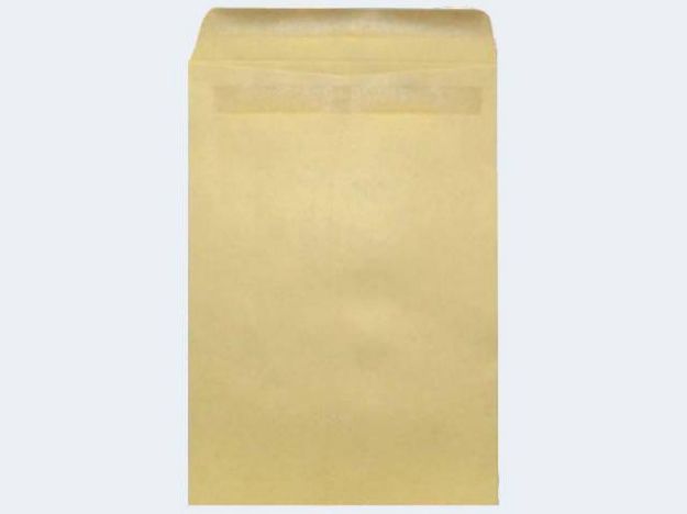 Bild von Versandtasche C4 braun 110g sk - Eine Verkaufseinheit = 10 Stück - 381407