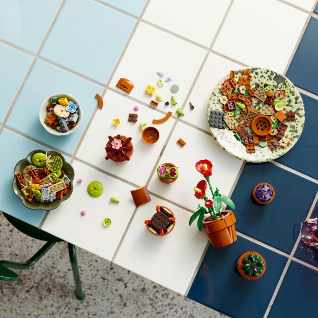 Bild von LEGO Botanicals - 10329 Mini Pflanzen