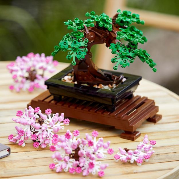 Bild von LEGO Botanicals - 10281 Bonsai Baum