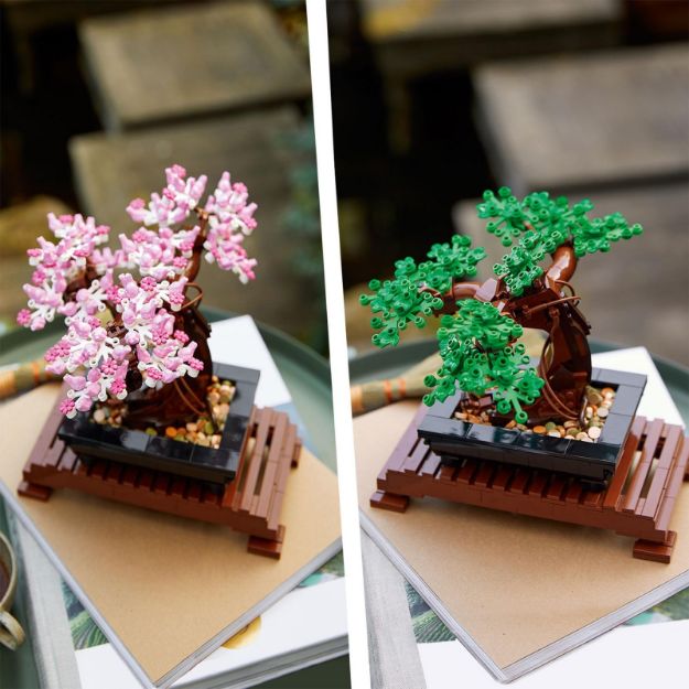 Bild von LEGO Botanicals - 10281 Bonsai Baum