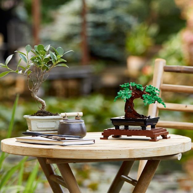 Bild von LEGO Botanicals - 10281 Bonsai Baum