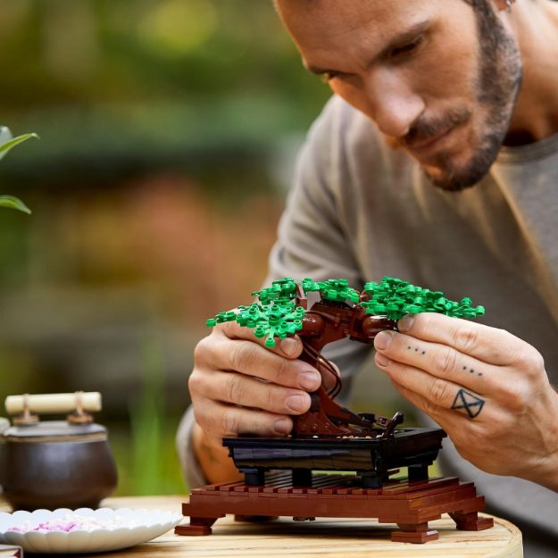 Bild von LEGO Botanicals - 10281 Bonsai Baum