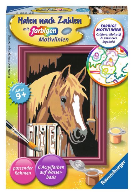 Bild von MnZ Pferd im Stall 8,5x12 m Rahmen - 29685