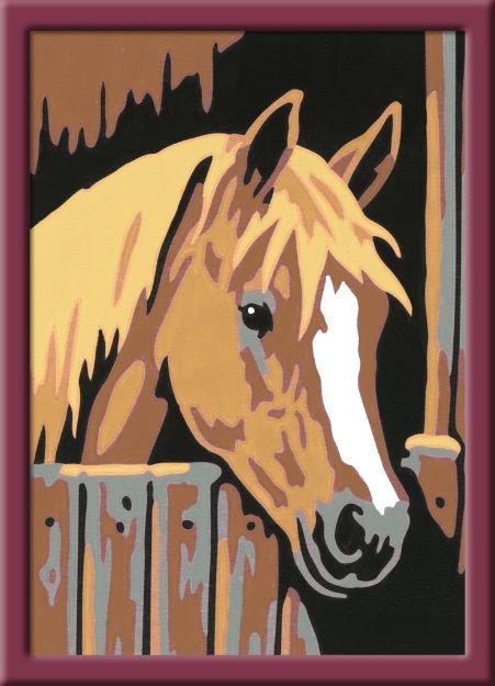 Bild von MnZ Pferd im Stall 8,5x12 m Rahmen - 29685