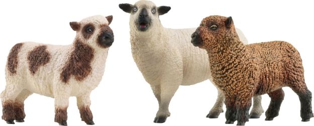 Bild von Schleich FW Schaffreunde