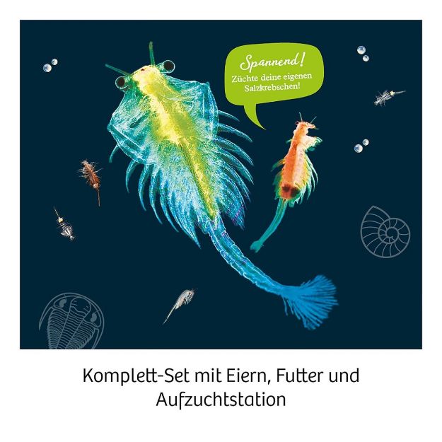 Bild von Kosmos Urzeit-Krebse - 657871