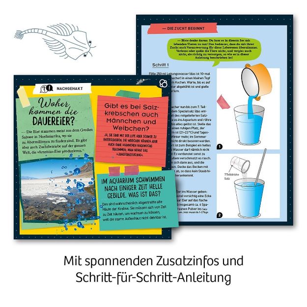 Bild von Kosmos Urzeit-Krebse - 657871