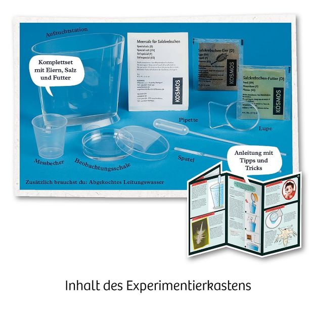 Bild von Kosmos Urzeit-Krebse - 657871