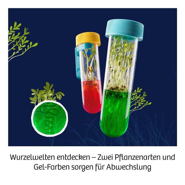 Bild von Fun Science Aqua-Gel Pflanzen 8+