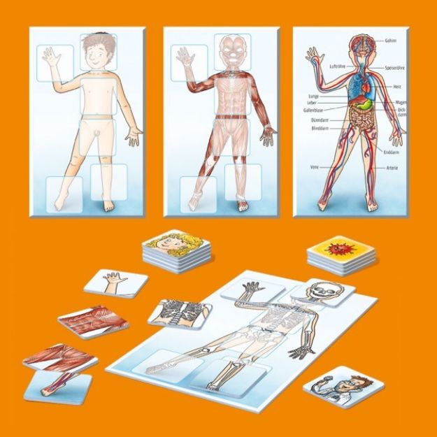 Bild von WAS IST WAS Junior - Mein Körper - 711498