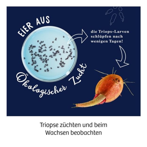 Bild von Fun Science Triops züchten - 637231