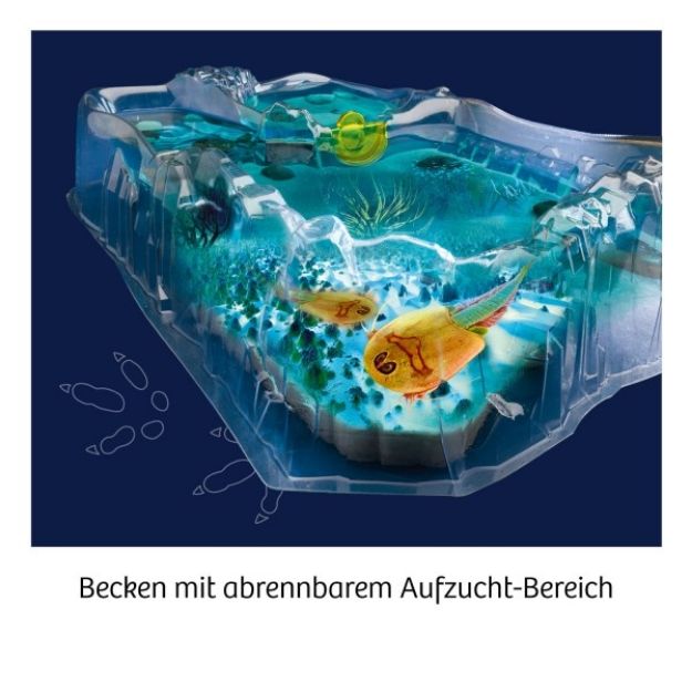 Bild von Fun Science Triops züchten - 637231