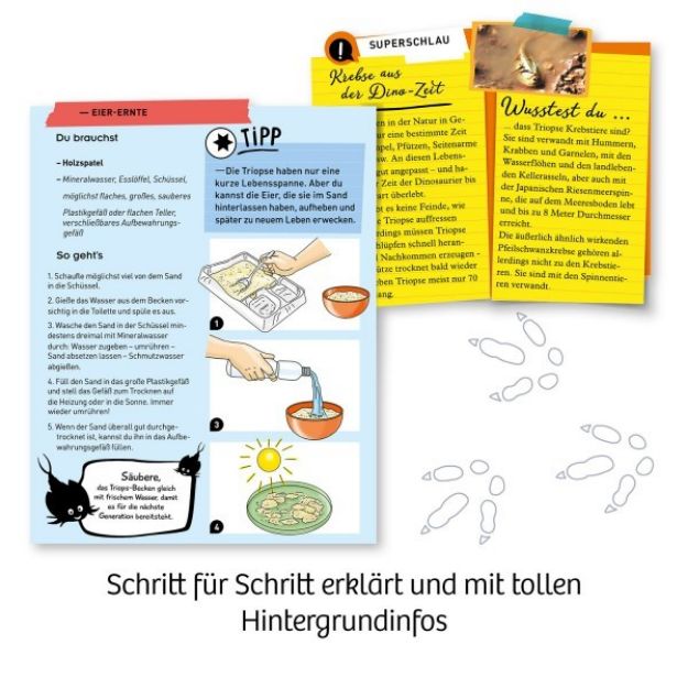 Bild von Fun Science Triops züchten - 637231