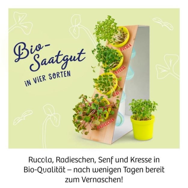 Bild von Microgreen-Garten - 636135