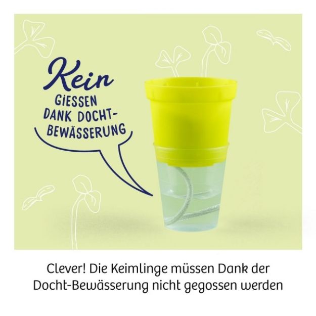 Bild von Microgreen-Garten - 636135