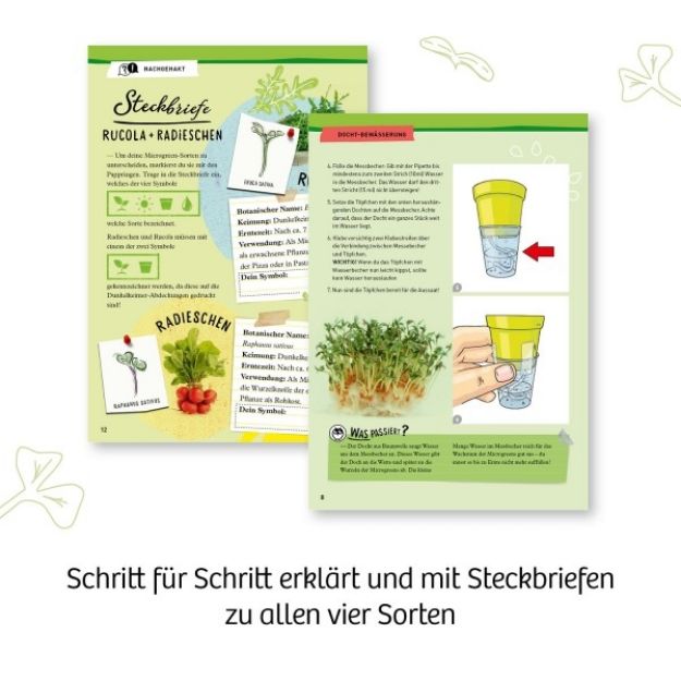 Bild von Microgreen-Garten - 636135