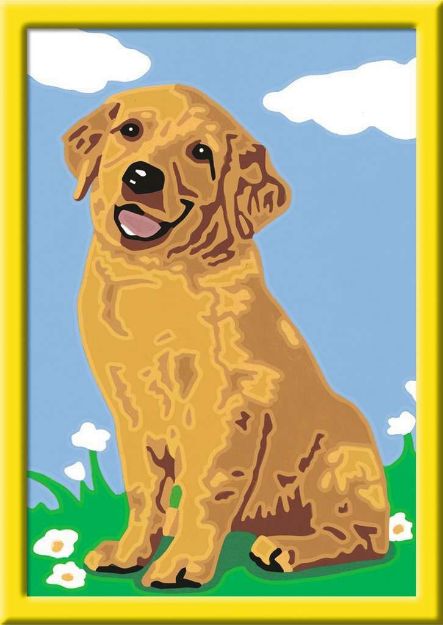 Bild von Ravensburger 28511 Malen nach Zahlen - Kleiner Golden Retriever