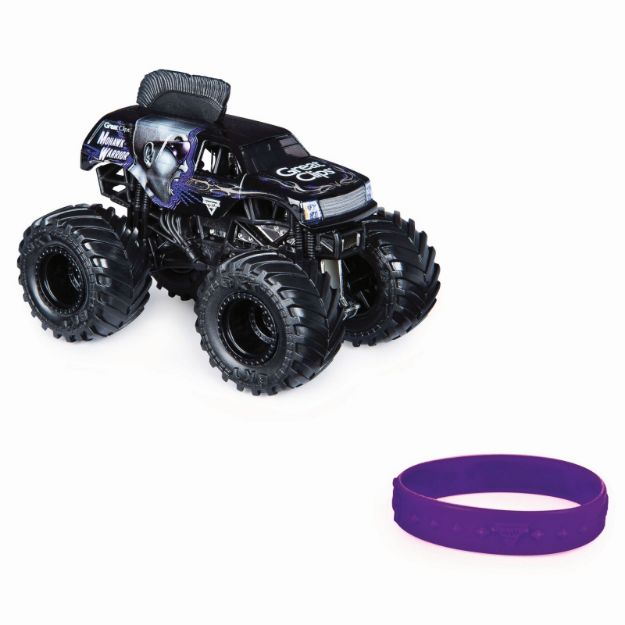 Bild von Spin Master Monster Jam Single Pack 1:64 sortiert - 55348