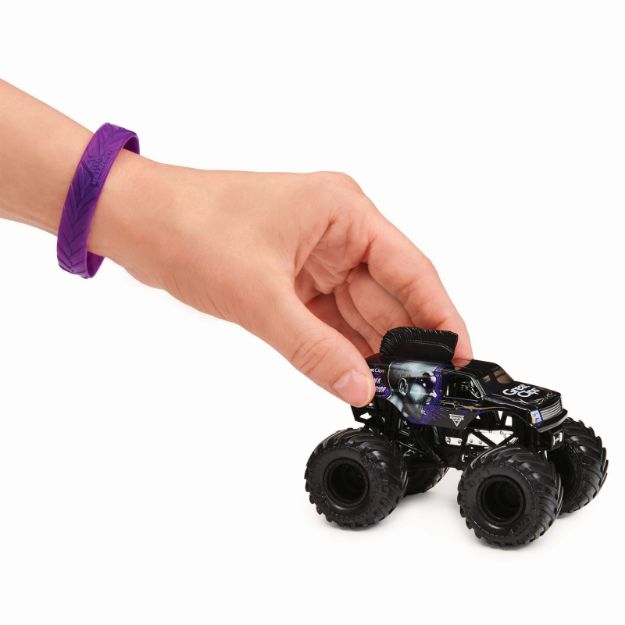 Bild von Spin Master Monster Jam Single Pack 1:64 sortiert - 55348