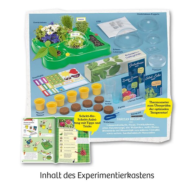 Bild von Mein erstes Gewächshaus - 632083