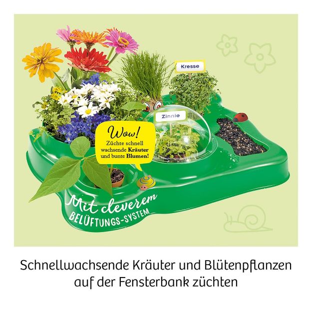 Bild von Mein erstes Gewächshaus - 632083