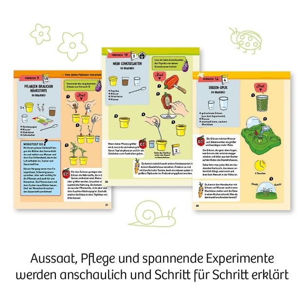 Bild von Mein erstes Gewächshaus - 632083