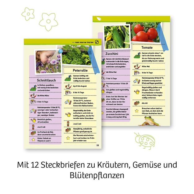 Bild von Mein erstes Gewächshaus - 632083