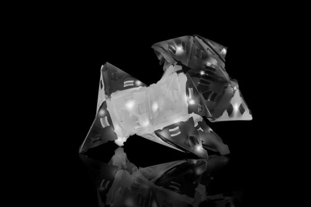 Bild von Creatto Panda - 03494