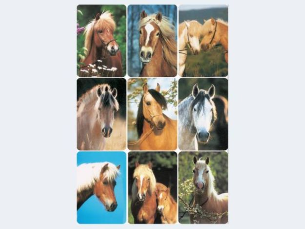 Bild von Schmuck Sticker Pferde - Eine Verkaufseinheit = 10 Stück - 3568