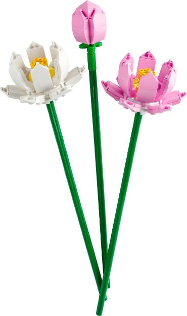 Bild von LEGO Botanicals - 40647 Lotusblumen