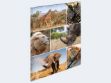 Bild von Sammelmappe A4 Afrika Pappe - 19214