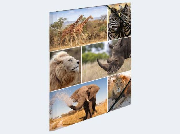 Bild von Sammelmappe A4 Afrika Pappe - 19214