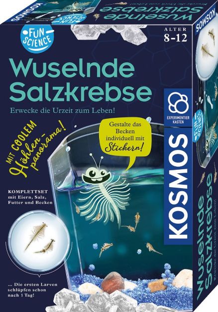 Bild von Fun Science Wuselnde Salzkrebse - 654160