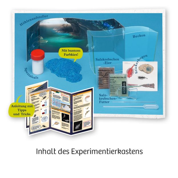 Bild von Fun Science Wuselnde Salzkrebse - 654160