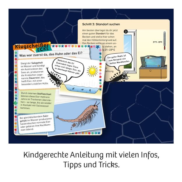 Bild von Fun Science Wuselnde Salzkrebse - 654160