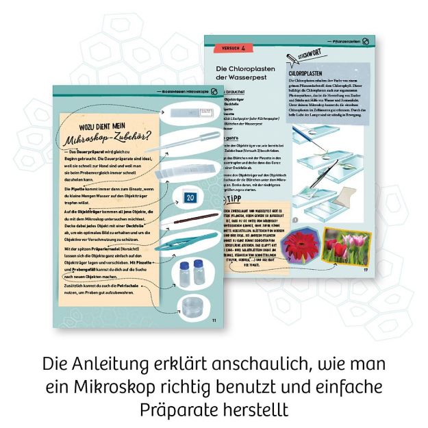 Bild von Kosmos Entdecker-Mikroskop - 636050